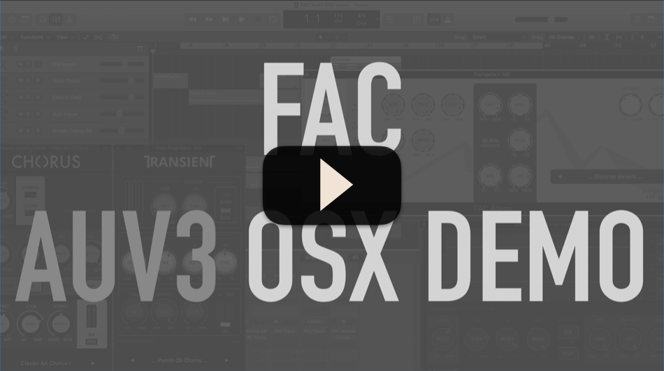 FAC Transient --- OSX Demo